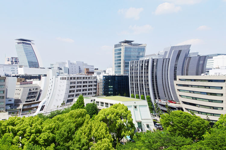 黄斑疾患のイメージ写真