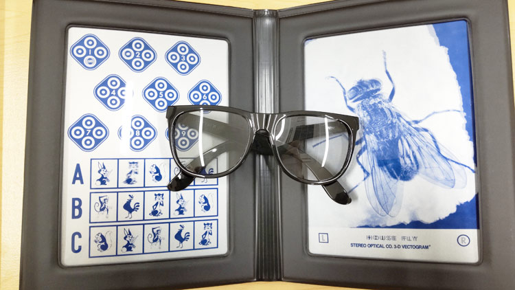 ステレオフライテストの写真